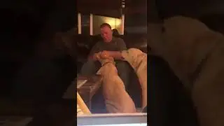 Когда тебе завидно, что ушки чистят другому)