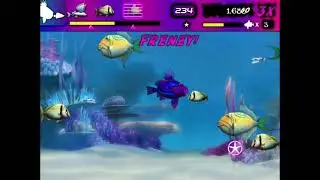 Feeding Frenzy: Radio Dory's Quest Preview #1