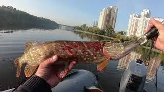 1 сентября за щукой с лодки (канал, химки, день 2)