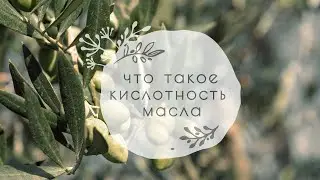 2. Что такое кислотность оливкового масла? | 16+