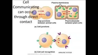 Signal Transduction Themes