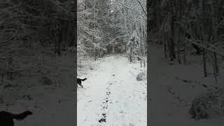 Зима