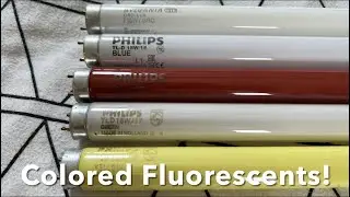 Colored Fluorescents Startup