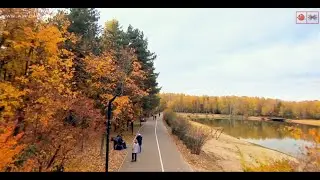 г.Балашиха мкр.Заря | Золотая осень 2019