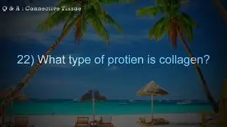 Connective Tissue | 40 Objective Questions asked in various exams | Objective biology