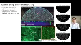Influence of microcracks on mass transport and durability - Dr Hong Wong