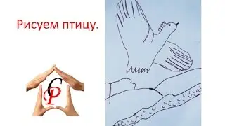 Рисуем с детьми   Рисуем птицу