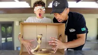 Crazy What's in The Box Challenge