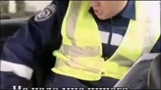 гаишник дятел