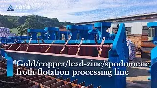 Revolutionizing Mining in India! Dasen's Flotation Machines Are Here #MiningInnovation #India