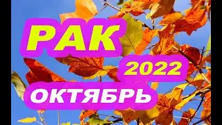РАК ОКТЯБРЬ 2022 ТАРО