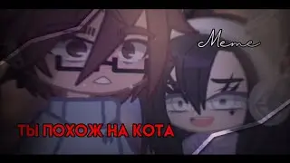 Че?
