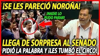 ¡NOROÑA causa REVUELTA en el SENADO! ¡LES CAYÓ DE SORPRESA Y LES TUMBÓ EL CIRCO! URGE COMPARTIR