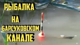 Рыбалка на Барсуковском канале ● рыбалка 2017 ● отдых с семьёй на рыбалке ● сестра поймала карася