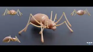 Spider walk cycle animation | Blender | 