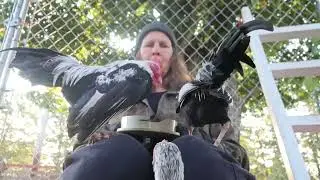 nothing like a nice worm breakfast