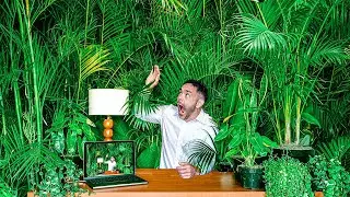 I Turned My Office Into a JUNGLE | Crazy Benefits