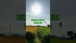 INILAH PERBUATAN YANG LANGSUNG DAPAT BALASAN DARI ALLAH SWT#shorts #videoshort #subscribe