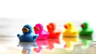 Savo - Yucky Duck (Free Download)