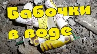 Бабочки в воде