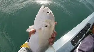 #54 Mar bravo e peixe na linha !!!