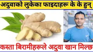 अदुवाको लुकेका फाइदाहरू के छन् सुगर प्रेसरका बिरामीहरूले खान मिल्छ ।Benifits of ginger in Nepali!