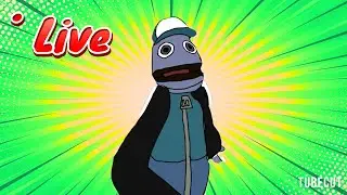 MIngo Live