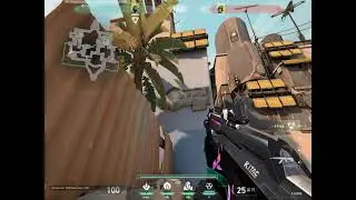Viper's Molotov | Bind | Multiple Plant Spots B Site | Setups & Results