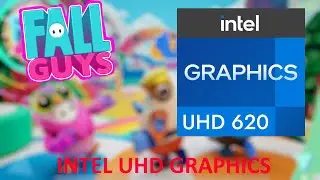 Fall Guys - UHD Graphics 620 + Core i5 8265U + 8gb RAM  - Low Settings