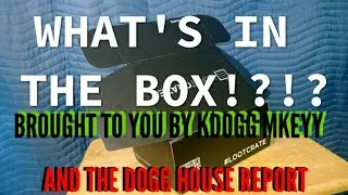 LOOT CRATE MYSTERY BOX FOR APRIL THEME INVESTIGATE