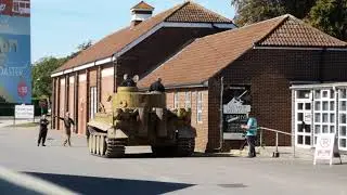 Tiger 131 cruising in the sun