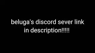Beluga's  official discord server(not full) link