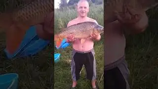 КОРОП НА ПЬЯНУЮ КУКУРУЗУ