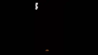 Po,s story