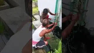 Plumber's Art | #trending_shorts_on_youtube #constructionworker #viral_shorts #construction