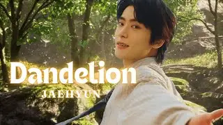 JAEHYUN【Dandelion】日本語訳 | FMV