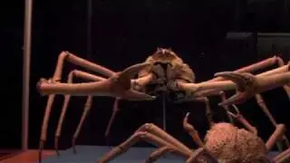 Visita guidata
