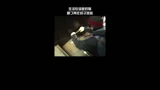 关爱流浪猫🐈🐱  生活在墙里的猫，喂了两年终于获救