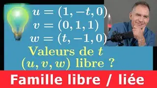 famille libre lié ♦ Un classique ♦ Pour quelles valeurs de t, la famille est-elle libre ? MPSI prépa