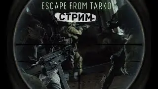 ТАРКОВ СТРИМ 