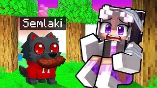 Als BABY WOLF im WALD spielen!