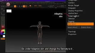 ZB_18.23 | Generate new rigged new polymesh with Adaptive skin