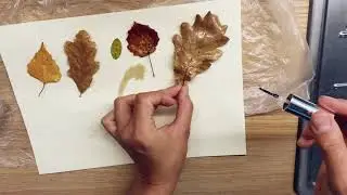 Autumn craft DIY / Осенняя поделка своими руками