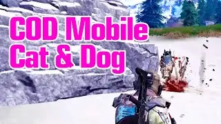 COD Mobile Cat & Dog