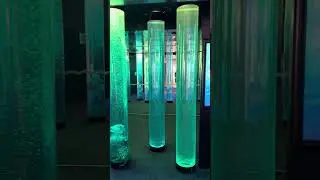 Baltimore Aquarium 🫧🐟🐠🦈🦑🐬🐧