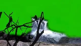 ✨✨new green screen✨✨ ✨✨waterfall video green✨✨ ✨✨nature green bards✨✨ latest ✨✨green screen video ✨✨