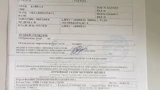 Что такое щенячка?