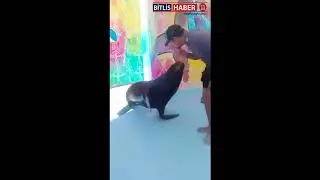 Fok şaka yaparsa
