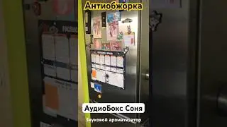 Антиобжорка! Звуковой ароматизатор настроения АудиоБокс Соня. Музыкальный модуль для холодильника.