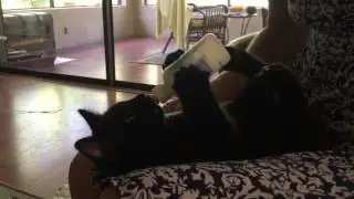 Kitty loves his bottle